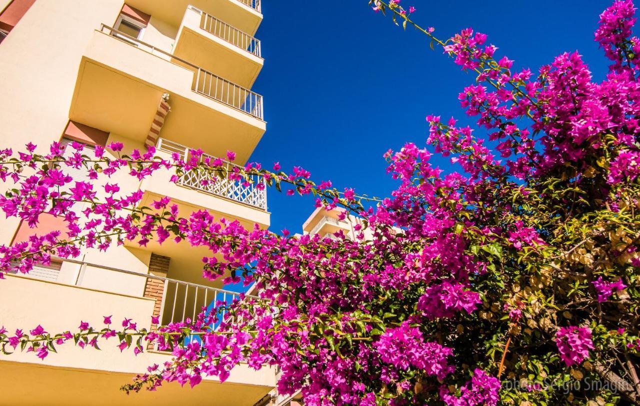 137 Minerva Apartamentos - Vista Al Mar - Piscina Y Playa - Cercano A Tren, Restaurantes Y Tiendas 贝纳尔马德纳 外观 照片